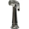 Danco 9D00010330 Chrome Transitional Side Spray With Guide