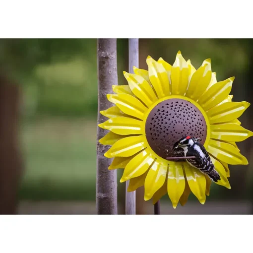 Desert Steel Sunflower Wild Bird 16 oz. Steel Decorative Bird Feeder 1 ports