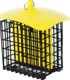 Double-Suet Basket Holder, Metal, Assorted Colors