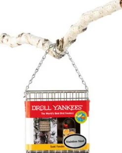 Droll Yankees Premium Suet Feeder 5 In. X 5 In. X 1.5 In. Stainless Steel