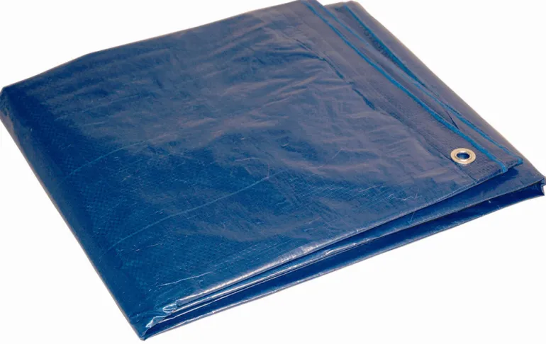 Dry Top 10 ft. W X 12 ft. L Medium Duty Polyethylene Poly Tarp Blue