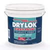 Drylok Fast Plug Hydraulic & Anchoring Cement (Pack of 2)