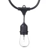 Dublin LED String 24-Light Set, 48-Ft.