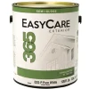 EXSP GAL Past EXT Paint (Pack of 4)