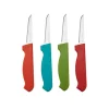 Farberware 3 in. L Plastic/Stainless Steel Paring Knife Set 4 pc.