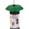 FEEDER THSTLMINI MGNM