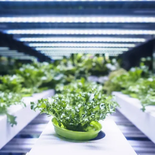 Feit Electric Clamp LED Grow Kit 8 in.