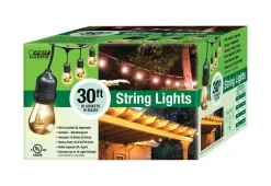 FEIT Electric Incandescent String Lights Clear 30 ft. 15 lights