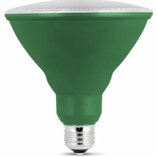 Feit PAR38 E26 (Medium) LED Bulb Green 120 Watt Equivalence 1 pk