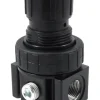 Forney Plastic Full Size Regulator 3/8 in. NPT 250 psi 1 pc