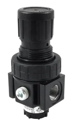 Forney Plastic Full Size Regulator 3/8 in. NPT 250 psi 1 pc