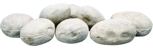 FREBWL FILLR PRMCOAL BRN
