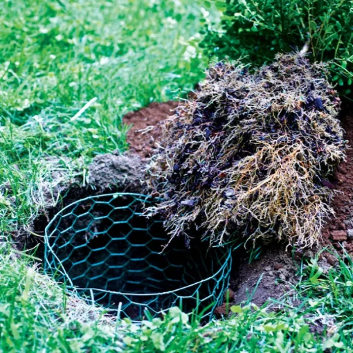 Garden Craft 36 in. H X 25 ft. L Steel Fencing 1 in. X 1 in. in.