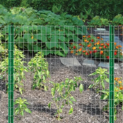 Garden Craft 36 in. H X 50 ft. L Steel Welded Wire Fence 2x3 in.