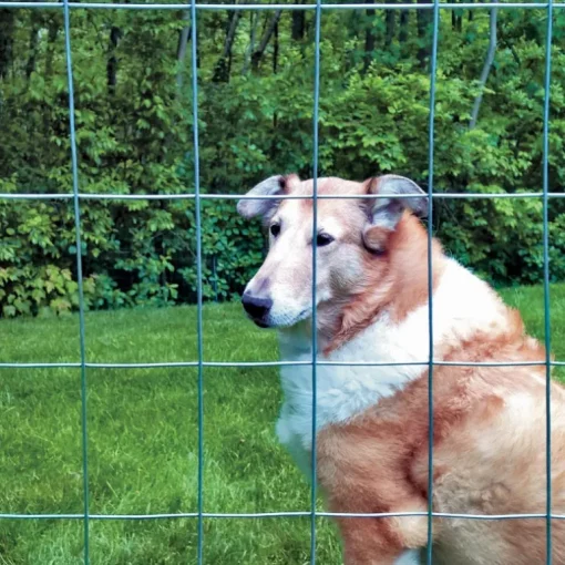 Garden Craft 36 in. H X 50 ft. L Steel Welded Wire Fence 2x3 in.
