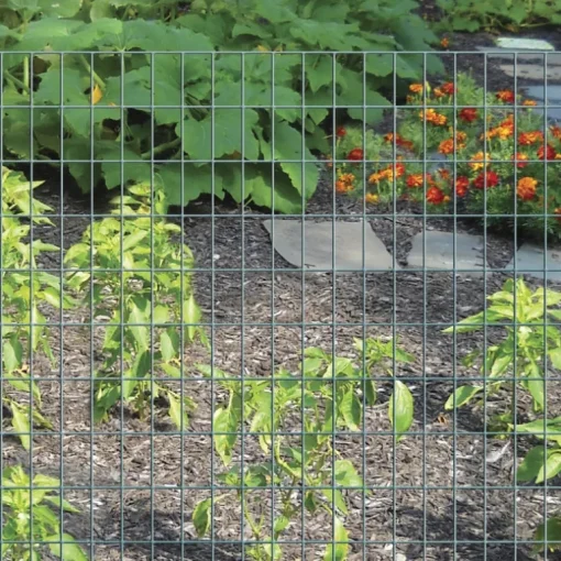 Garden Craft 36 in. H X 50 ft. L Steel Welded 2 x 3 in.