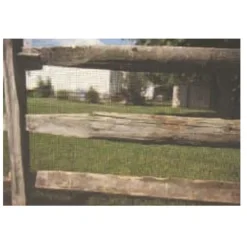 Garden Craft 24 in. H X 25 ft. L Plastic Fencing 2 x 4 in.