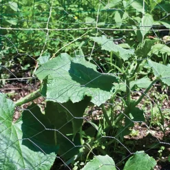 Garden Zone 60 in. H x 150 ft. L 20 Ga. Silver Poultry Netting