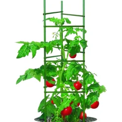 Gardener's Blue Ribbon 60 in. H X 12 in. W Green Steel Tomato Cage