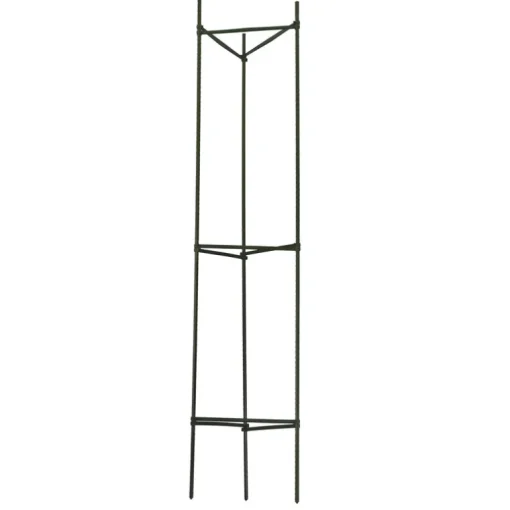 Gardener's Blue Ribbon 60 in. H X 12 in. W Green Steel Tomato Cage