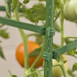 Gardener's Blue Ribbon 60 in. H X 12 in. W Green Steel Tomato Cage