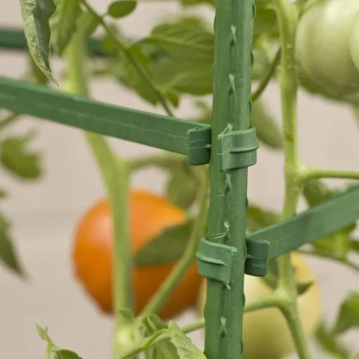 Gardener's Blue Ribbon 60 in. H X 12 in. W Green Steel Tomato Cage