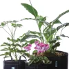 Geopot Geo-Gardenkit Garden 4 Piece Combo Kit