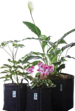 Geopot Geo-Gardenkit Garden 4 Piece Combo Kit
