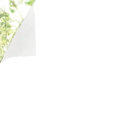 Gila Privacy Control White Frosted Indoor Window Film, 78 x 48 in.