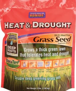 GRASS SEED FULL SUN 3LB