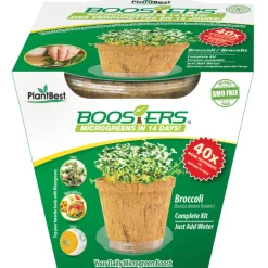 GROW KIT PLANT 1PK