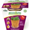 GROW KIT PLANT 1PK