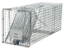 Havahart Large Live Catch Cage Trap For Cats and Raccoons 1 pk