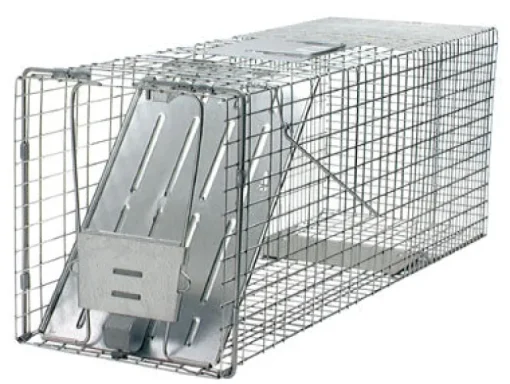 Havahart Large Live Catch Cage Trap For Cats and Raccoons 1 pk