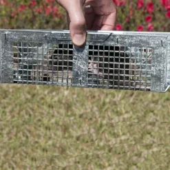 Havahart Small Live Catch Cage Trap For Mice 1 pk