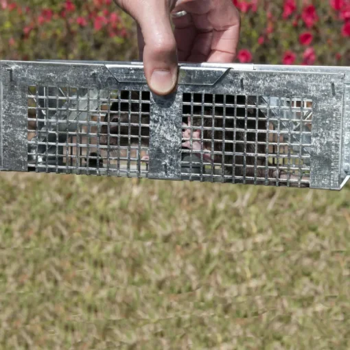 Havahart Small Live Catch Cage Trap For Mice 1 pk