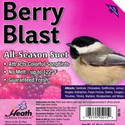 Heath Berry Blast Songbird Suet Beef Suet 11.25 oz. (Pack of 12)
