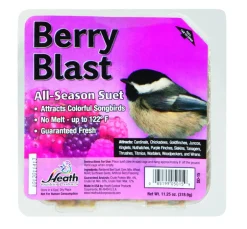 Heath Berry Blast Songbird Suet Beef Suet 11.25 oz. (Pack of 12)
