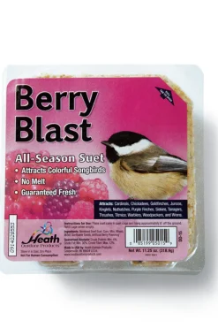 Heath Berry Blast Songbird Suet Beef Suet 11.25 oz. (Pack of 12)