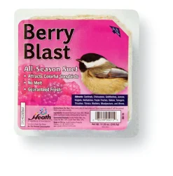 Heath Berry Blast Songbird Suet Beef Suet 11.25 oz. (Pack of 12)