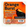 Heath Orange Burst Songbird Suet Beef Suet 11.25 oz. (Pack of 12)