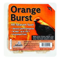 Heath Orange Burst Songbird Suet Beef Suet 11.25 oz. (Pack of 12)