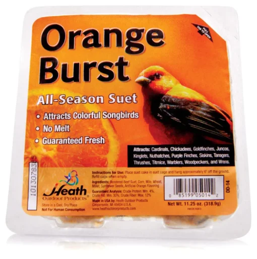 Heath Orange Burst Songbird Suet Beef Suet 11.25 oz. (Pack of 12)