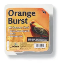 Heath Orange Burst Songbird Suet Beef Suet 11.25 oz. (Pack of 12)