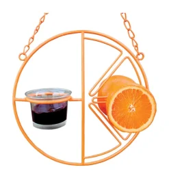 Heath Oriole 1 Steel Clementine Bird Feeder 2 ports