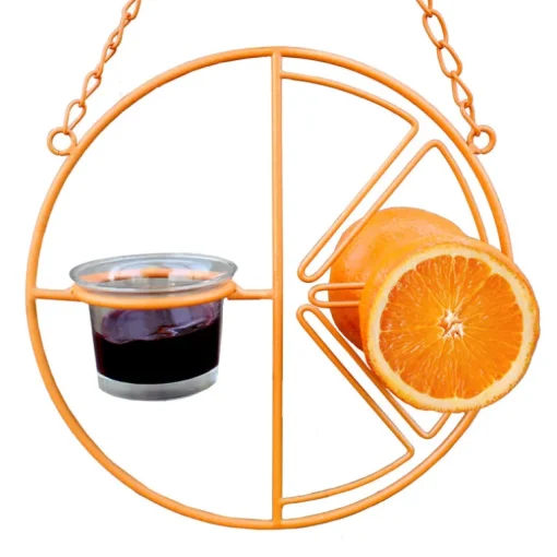 Heath Oriole 1 Steel Clementine Bird Feeder 2 ports