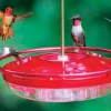 HUMMINGBIRD FEEDER 8OZ