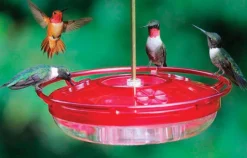 HUMMINGBIRD FEEDER 8OZ