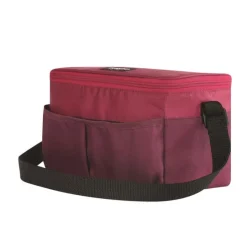 Igloo Collapse & Cool Gray 6 cans Lunch Bag Cooler