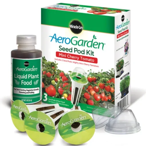 INDOOR MINI TOMATO 3PC